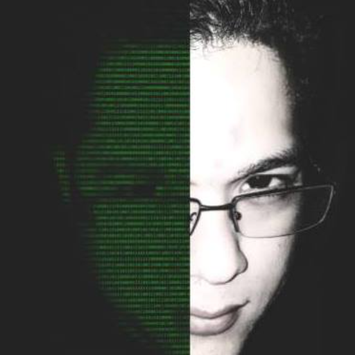 Programador
