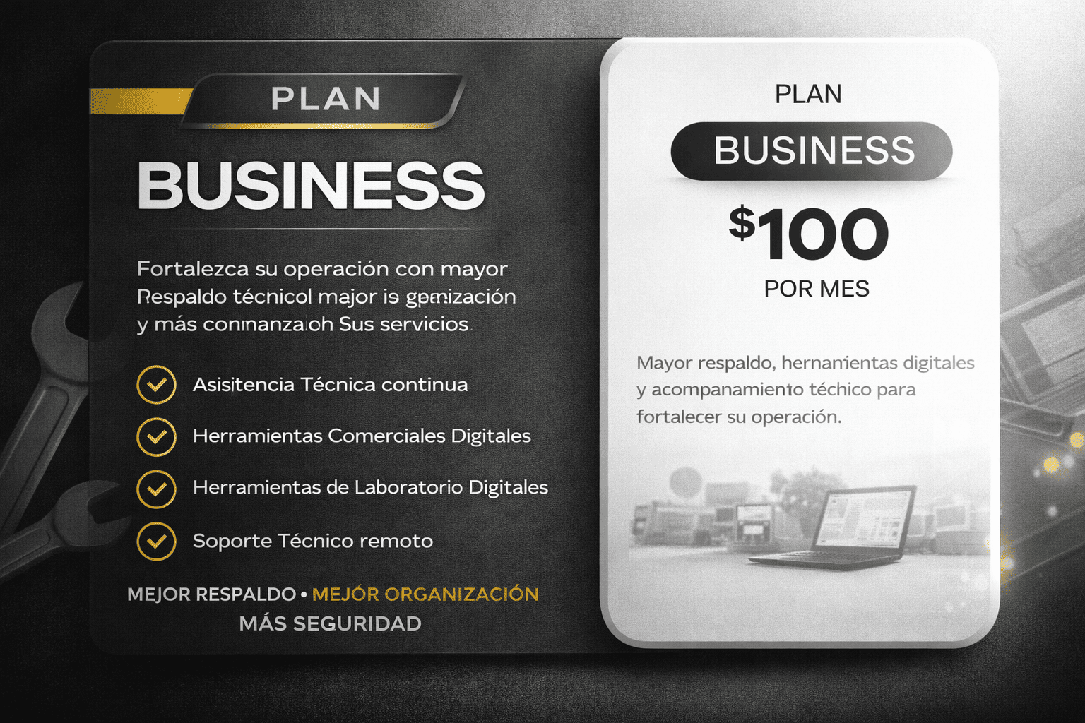 Plan de Soporte Business
